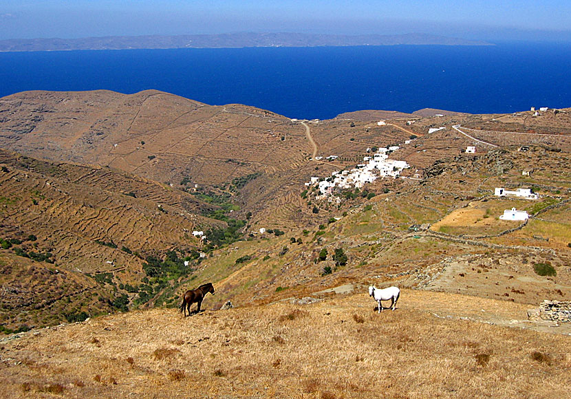 The small village of Galani on Serifos.