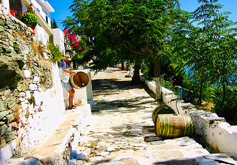 Wine barrels on the main street of Kentarchos in Serifos.