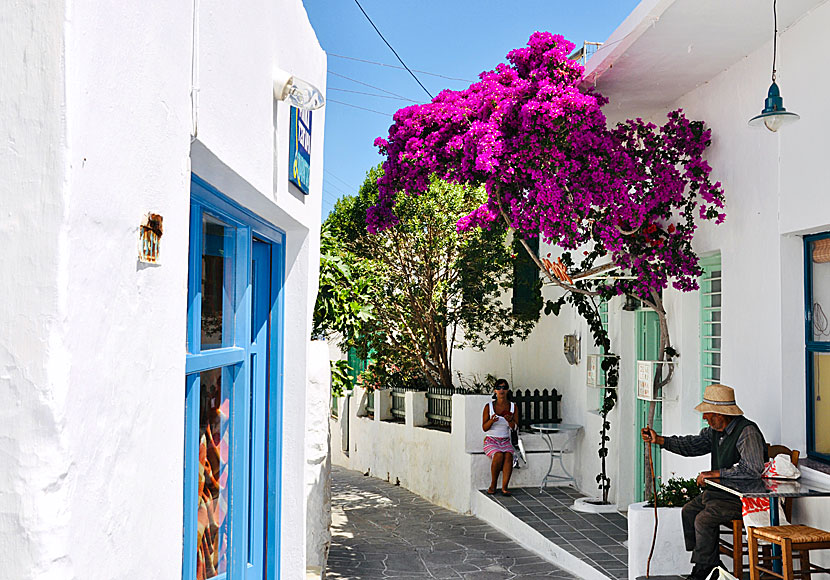 Bakery in Apollonia on Sifnos.