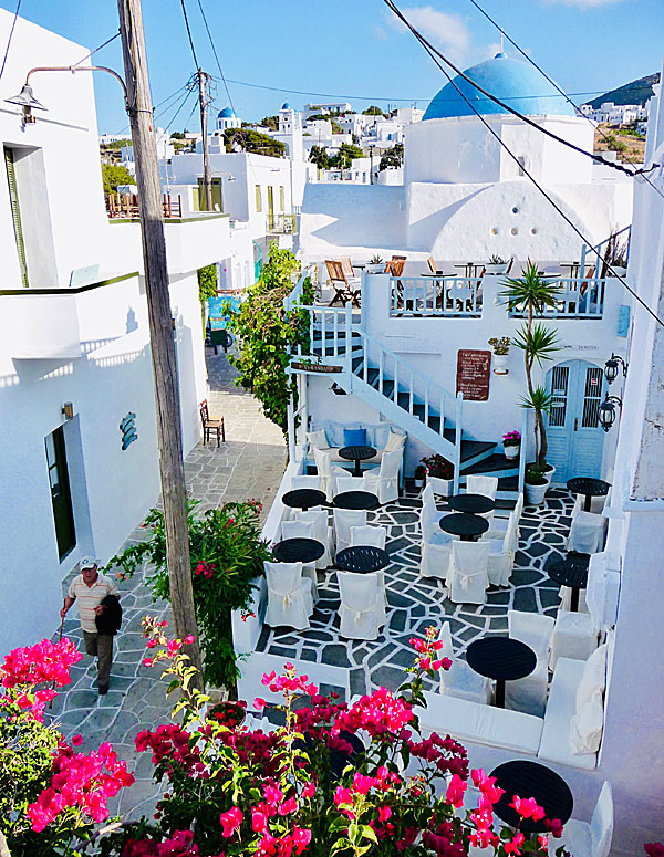 Cozy bars in Apollonia.