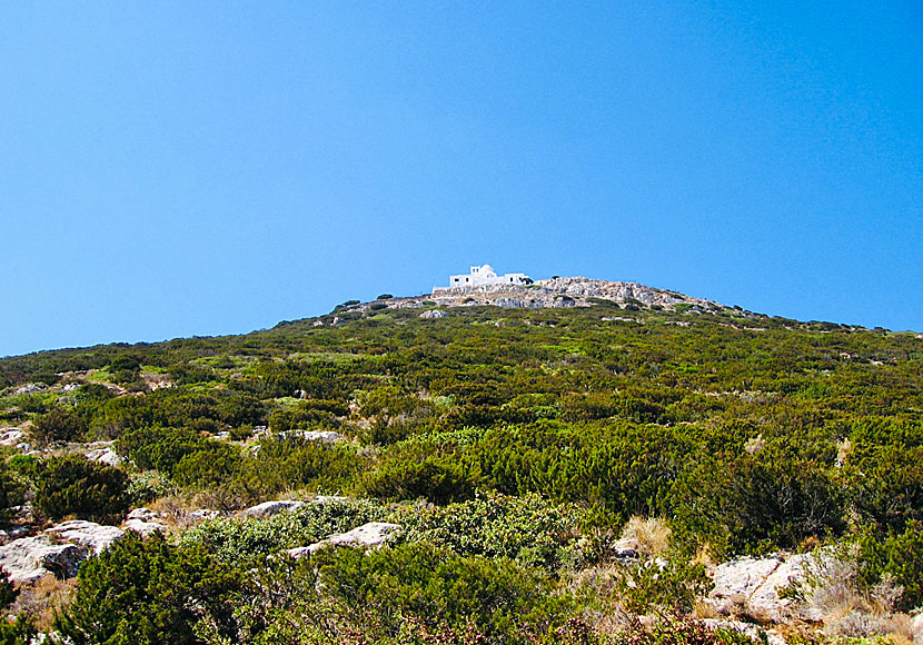 Archaeological excavations at the church of Agios Andreas on Sifnos.