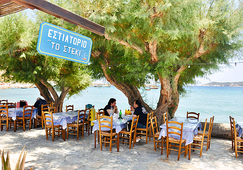 Restaurant To Steki is one of several very good tavernas in Platys Gialos on Sifnos.