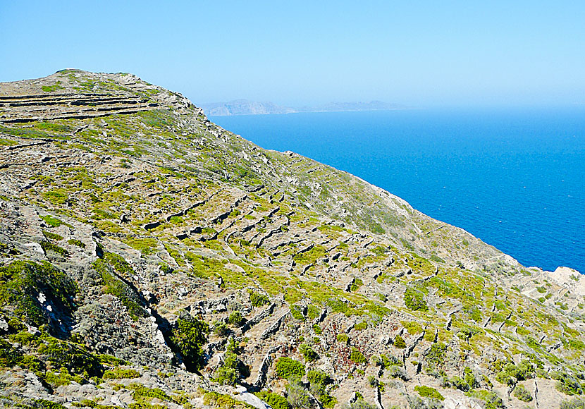 Old stone walls and vineyards at Sikinos in Greece.