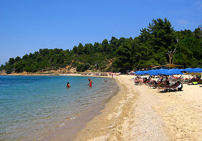 The best beaches in Skiathos. Agia Eleni beach.