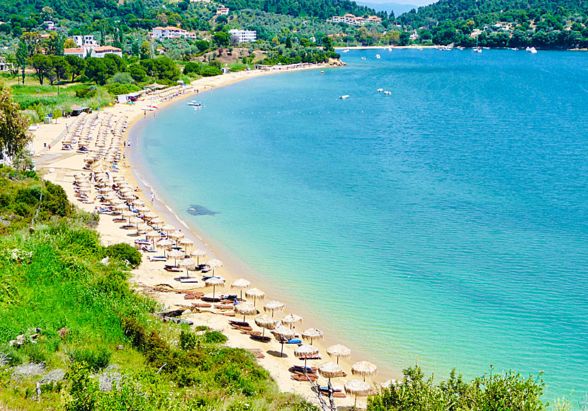 The best beaches in Skiathos. Agia Paraskevi beach.