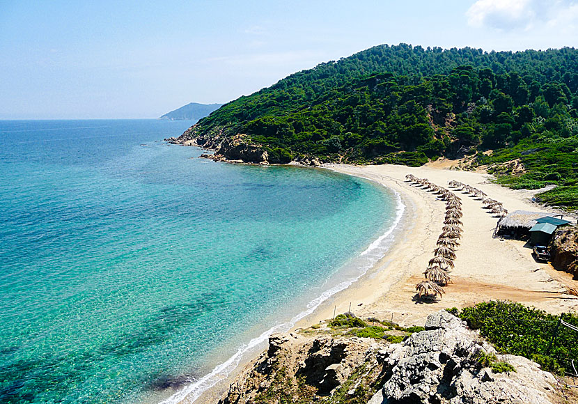 The best beaches in Skiathos. Agistro beach.