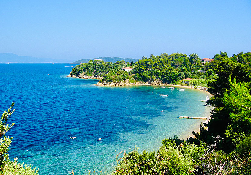 The best beaches in Skiathos. Kanapitsa beach.