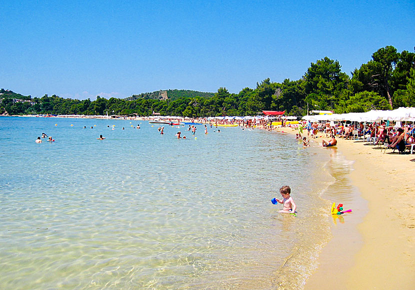 Like many other beaches on Skiathos, Koukounaries is also very child-friendly.