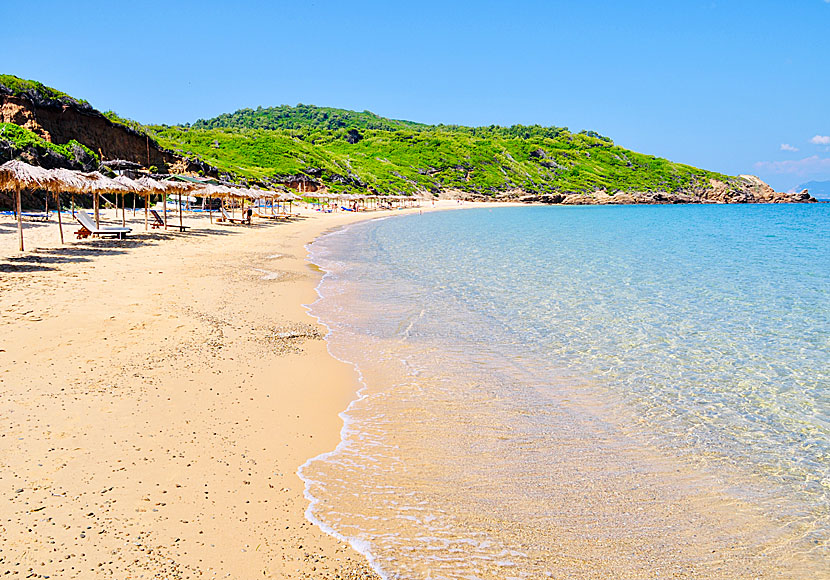 The best beaches in Skiathos. Mandraki beach.