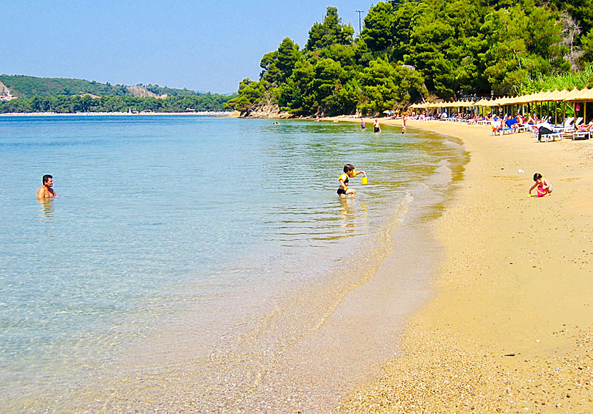 The best beaches in Skiathos. Maratha beach.