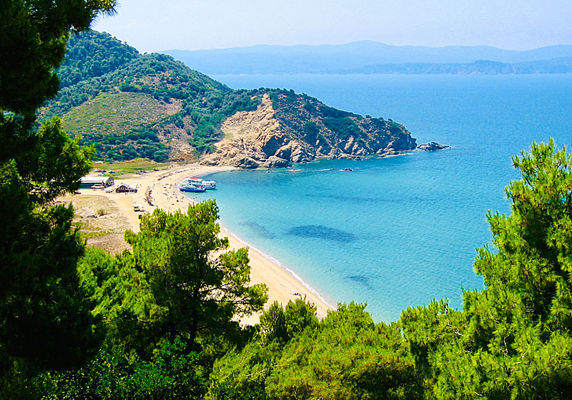Megalos Aselinos beach in Skiathos.