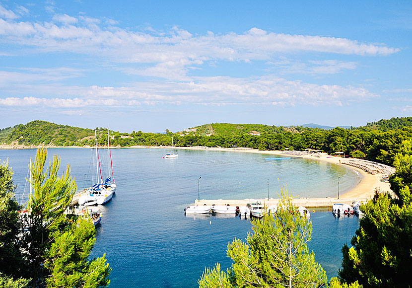 Koukounaries beach on Skiathos in the Sporades.