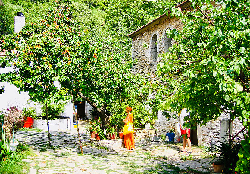 Don't miss Evangelistria Monastery when traveling to Skiathos.