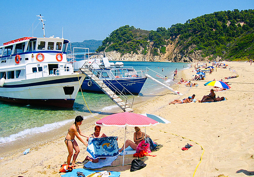 The best beaches in Skiathos. Megalos Aselinos beach.