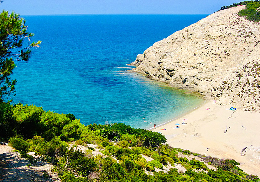 The best beaches in Skiathos. Mikros Aselinos beach.