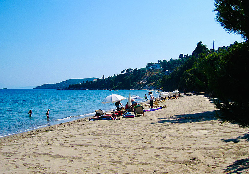 The best beaches in Skiathos. Mitikas beach.