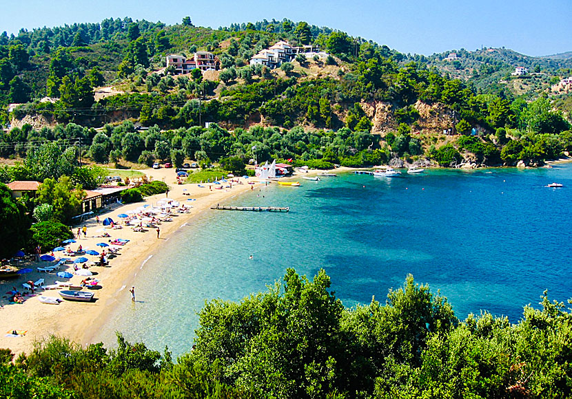 The best beaches in Skiathos. Tzaneria beach.