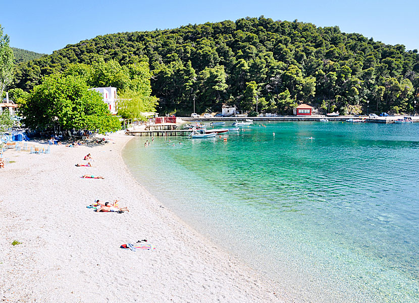 The best beaches on Skopelos. Agnontas beach.