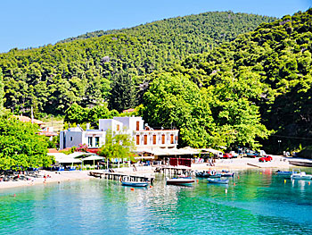 The village Agnontas on Skopelos.