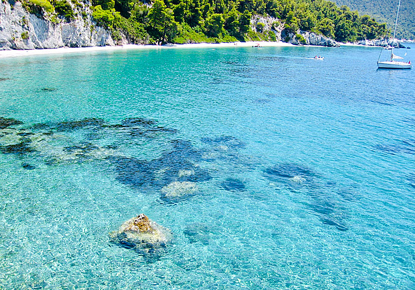 Megalo Pefko beach near Hovolo beach on Skopelos.