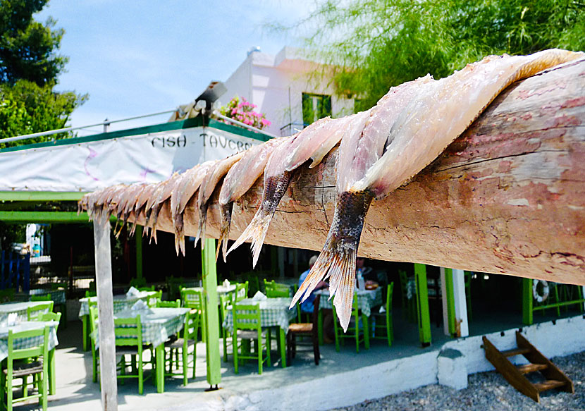 Fresh fish and seafood at the restaurants in Agnontas.