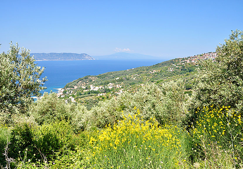 From the villages of Loutraki and Glossa you can see Skopelos neighboring island of Skiathos.