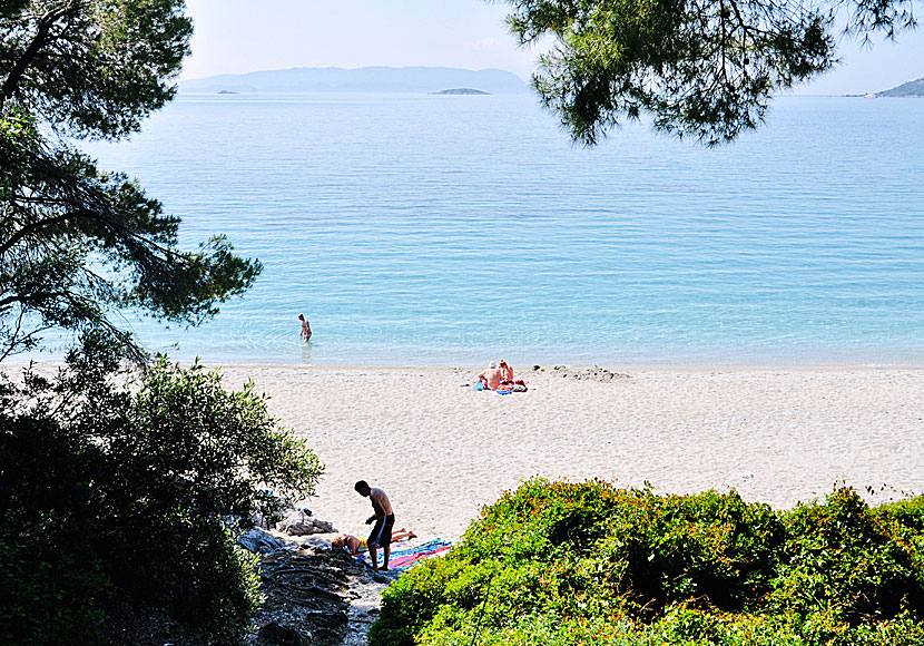Kastani beach on Skopelos in Greece.