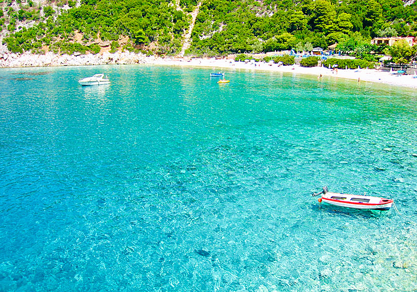 The water surrounding the beaches of Skopelos is the most amazing in all of Greece.