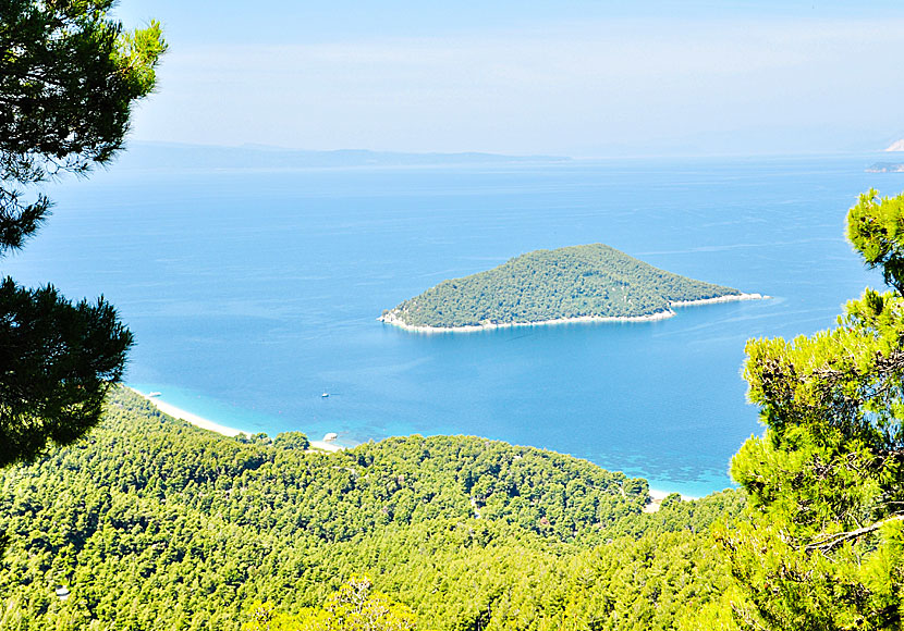 Milia and Kastani beach in Skopelos.