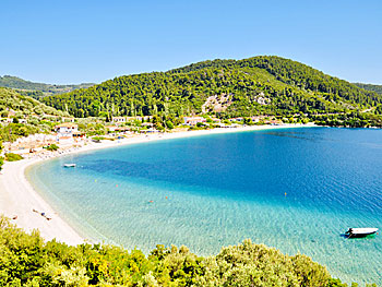 The village Panormos on Skopelos.