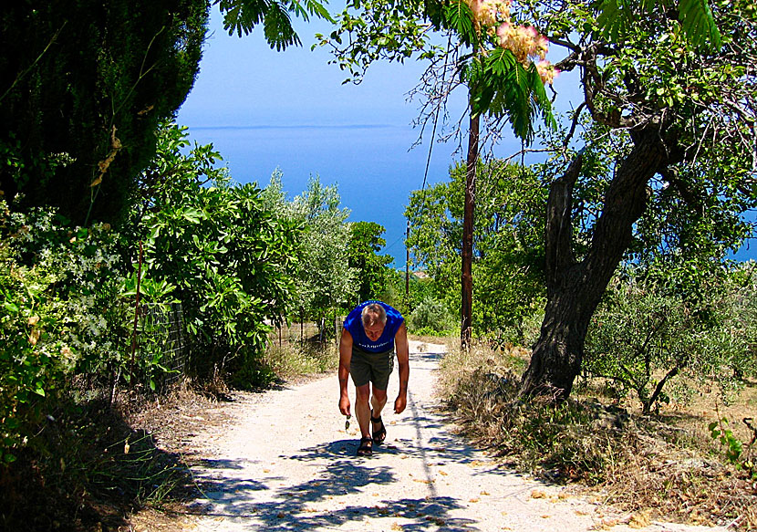 Steep slopes on Skopelos.