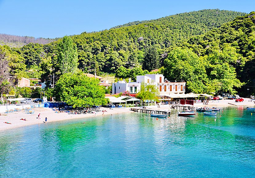 Don't miss the village and beach of Agnontas when you travel to Skopelos.