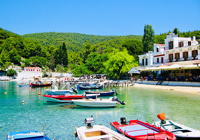 Agnontas on Skopelos in Greece.