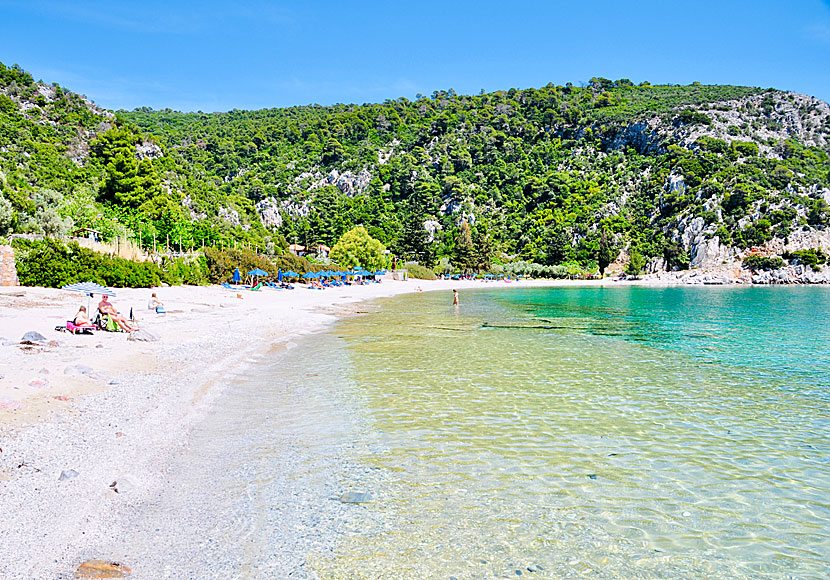 Limnonari beach. Skopelos.