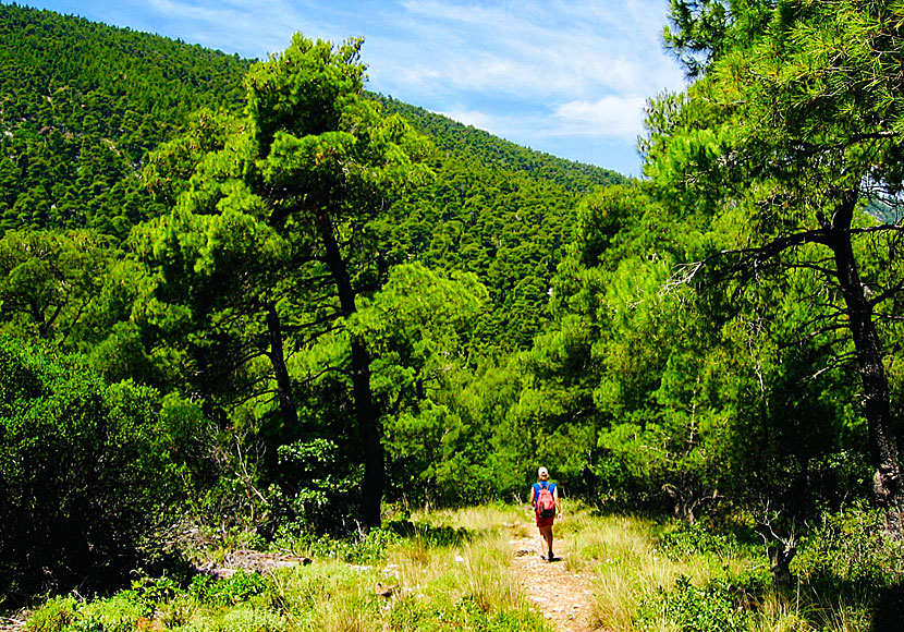 Hike on Skopelos in Greece.