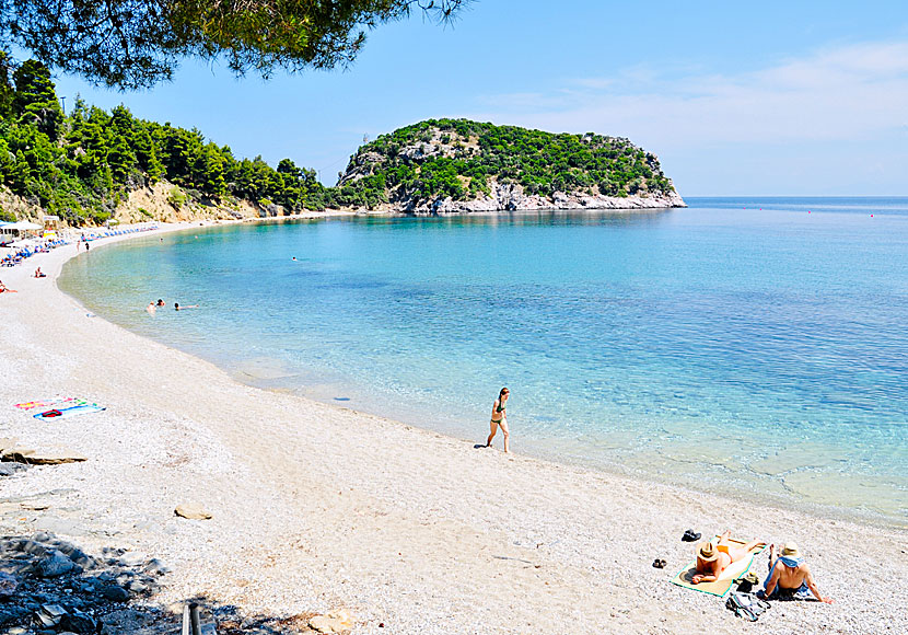 Stafilos beach is Skopelos' most popular beach.