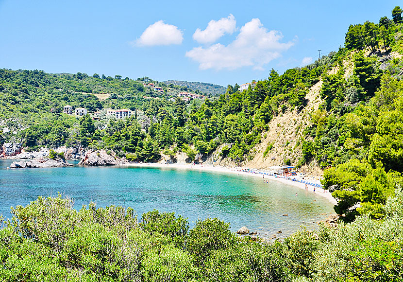 The beach of Stafilos on Skopelos in the Sporades archipelago.