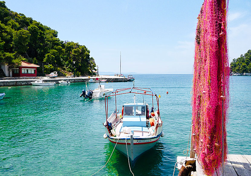 The port of Agnontas on Skopelos.