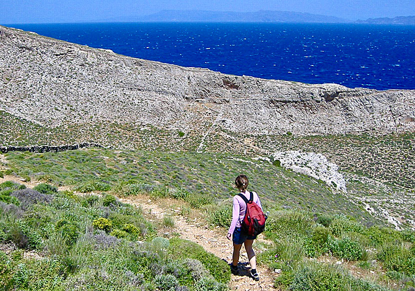 Hike to the archaeological sites of Kastri on Syros.