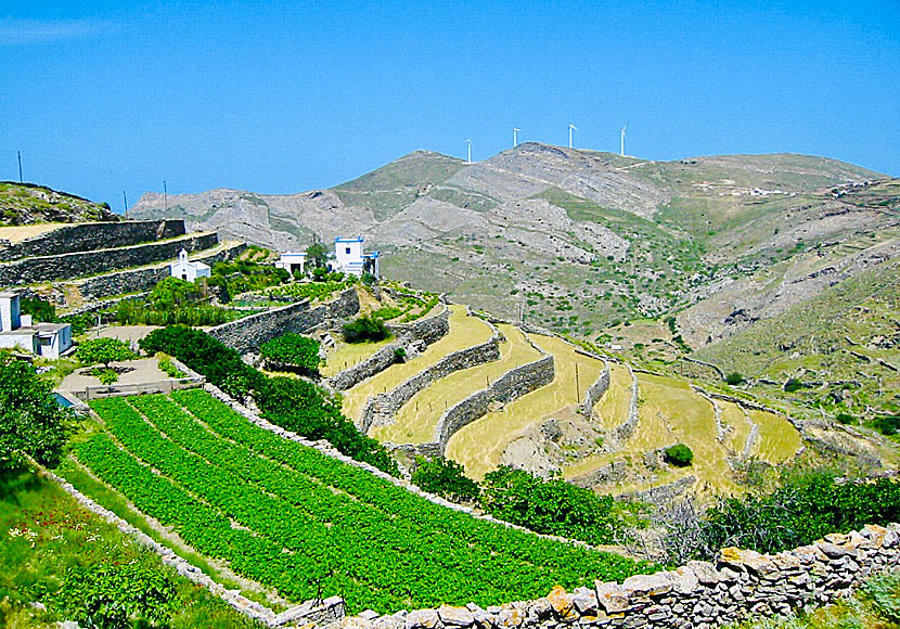 The beautiful landscape along the road to San Michalis.