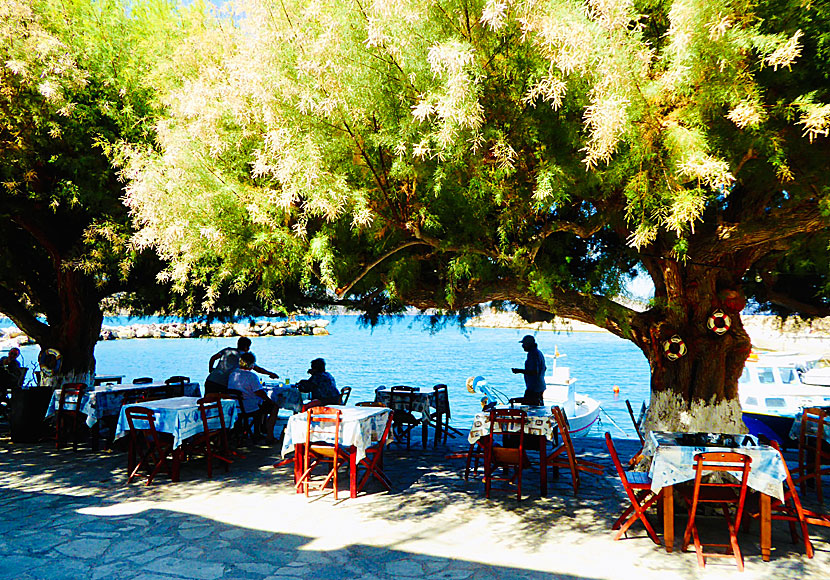 Tavern To Delfini in the fishing port of Agios Antonios in Tilos.