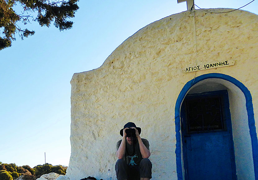 Agios Ioannis is my Happy Place on Tilos. I often sit there and watch for birds.