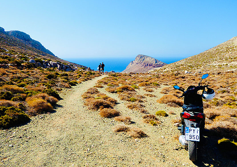 Drive a moped to unknown beaches on the island of Tilos in Greece.