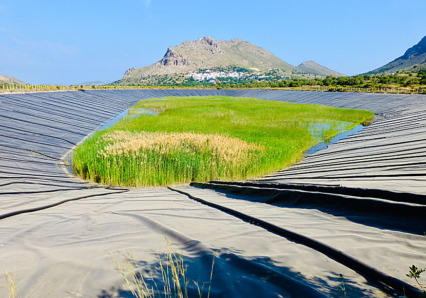 The large dam in the Eristos valley on Tilos. The village of Megalo Chorio is located under the mountain.