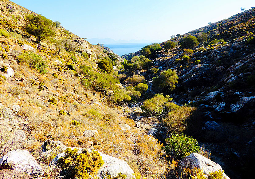 The hike from Lethra beach to Mikro Chorio goes through a lush stream gorge.
