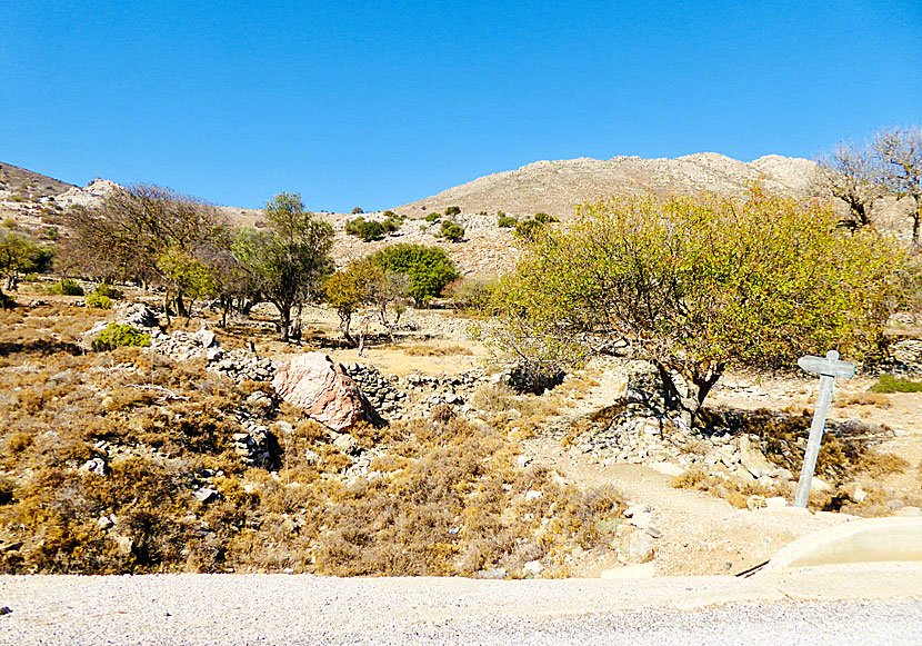 Hike to Mikro Chorio from Livadia on Tilos.