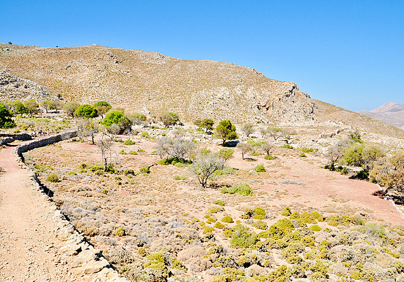 Hike from Gera to Livadia via the stream gorge above the Panagia Politissa Monastery.