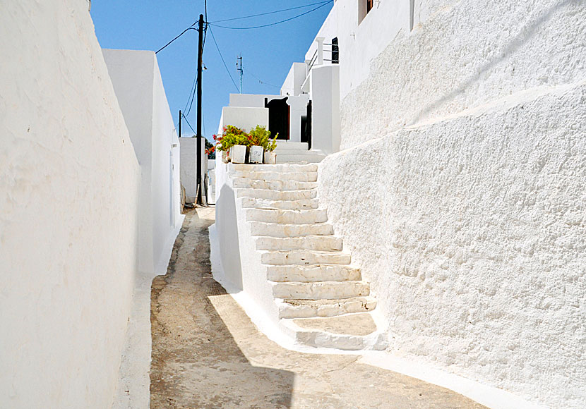 Cosy alleys in Megalo Chorio.