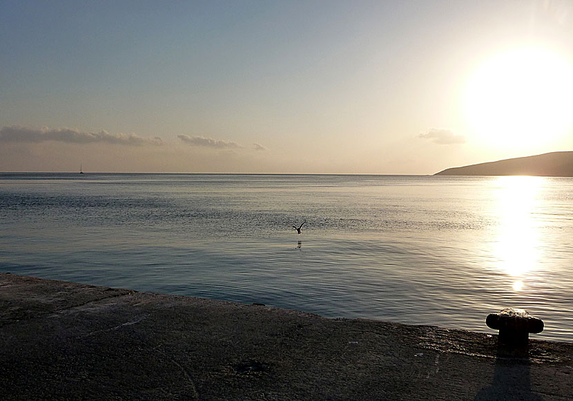 The sunrise seen from the port of Livadia. Only a yellow-legged gull is awake.