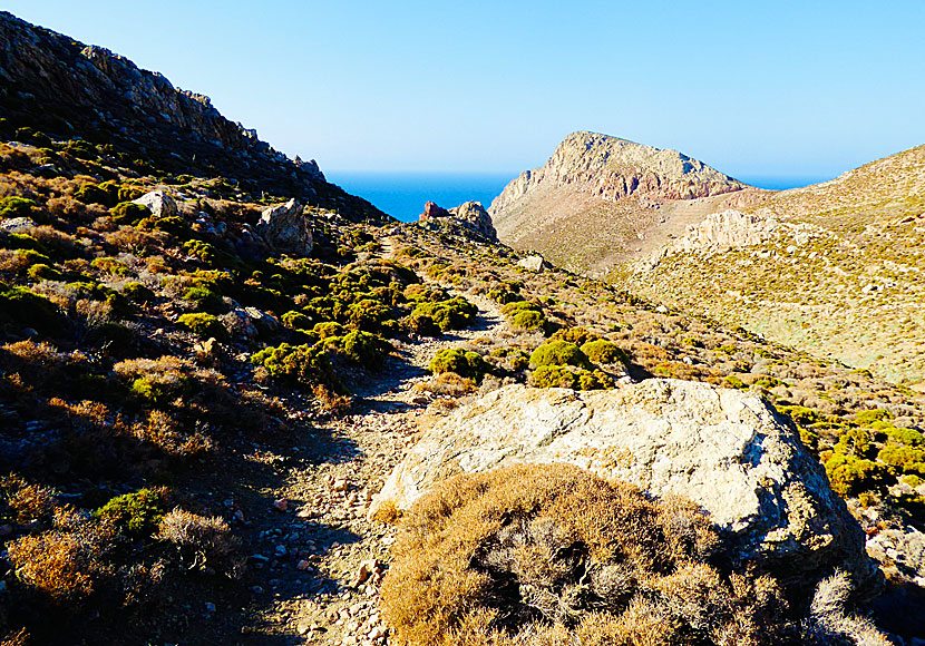 Hike to Tholos beach in Tilos.